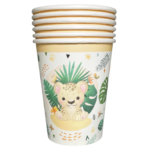 vaso